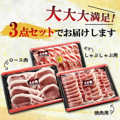 <6月中旬発送>庄内三元豚6か月定期便!(入金期限:2025.5.25)