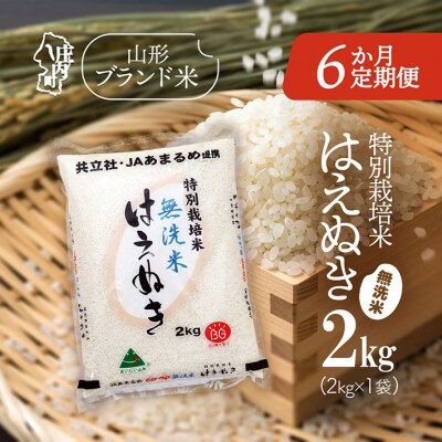 【6か月定期便】庄内米 特別栽培米はえぬき無洗米2kg【6月中旬発送】