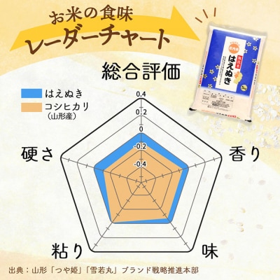 庄内産はえぬき 無洗米 10kg 2kg×5袋 令和7年産 2025年産 ブランド米