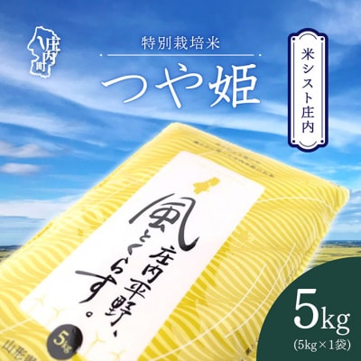 米シスト庄内 庄内平野、風と暮らす つや姫5kg 特別栽培米 令和7年産 2025年産 ブランド米