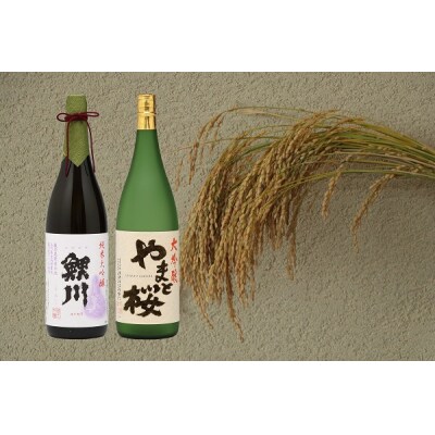 純米大吟醸「鯉川」・大吟醸「やまと桜」2本セット(1800ml×2本)<3月下旬以降順次発送>