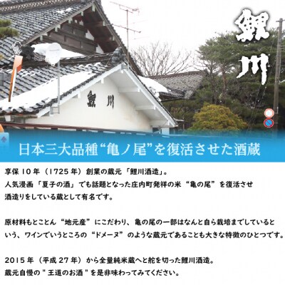 鯉川酒造 純米大吟醸「阿部亀治」生原酒 一升瓶 1800ml×1本 庄内町産 亀の尾100%使用