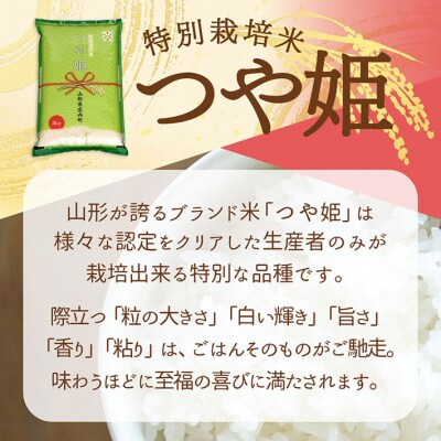 【6か月定期便】庄内米 つや姫 6kg 2kg×3袋<5月下旬発送>ブランド米 米 お米の定期便