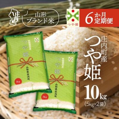 【6か月定期便】庄内米 つや姫 10kg【7月下旬発送】