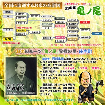 ＜11月下旬発送＞庄内米6か月定期便!つや姫10kg(入金期限:2025.10.25)