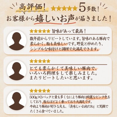 <9月中旬発送>庄内三元豚6か月定期便!(入金期限:2025.8.25)
