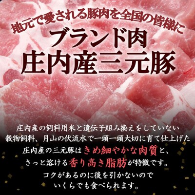 ＜7月中旬発送＞庄内三元豚6か月定期便!(入金期限:2025.6.25)