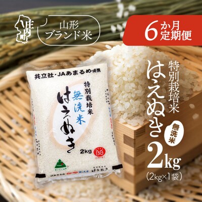 【定期便】<令和8年産>はえぬき 無洗米 2kg×1袋×6ヶ月 特別栽培米【11月中旬発送】