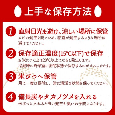 【6か月定期便】庄内米 特別栽培米はえぬき無洗米2kg【7月中旬発送】