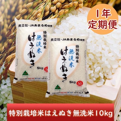 <2月開始>庄内米1年定期便! 特別栽培米はえぬき無洗米10kg(入金期限:2025.1.25)