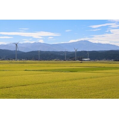 <2月開始>庄内米1年定期便! 特別栽培米はえぬき無洗米10kg(入金期限:2025.1.25)