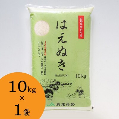 JAあまるめ 山形県庄内町産 はえぬき10kg×1袋 令和6年産 2024年産