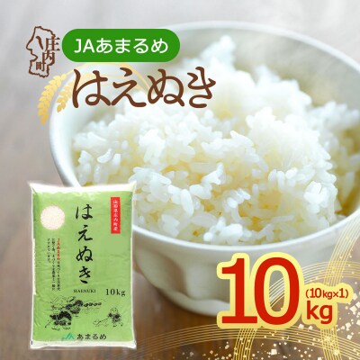 JAあまるめ 山形県庄内町産 はえぬき 10kg×1袋 令和8年産 2026年産 ブランド米