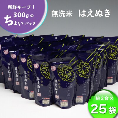 山形県産 ちょいまんま はえぬき無洗米 2合(300g)×25袋セット ブランド米 無洗米 白米