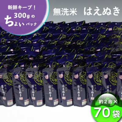 山形県産 ちょいまんま はえぬき無洗米 2合(300g)×70袋セット ブランド米 無洗米 白米