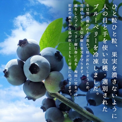 【R8.8月より順次発送】食の都庄内 冷凍ブルーベリー 2kg(入金期限:2026.7.31)