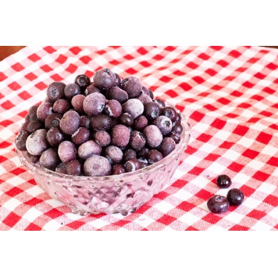 【R8.8月より順次発送】食の都庄内 冷凍ブルーベリー 2kg(入金期限:2026.7.31)