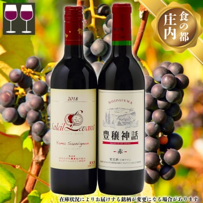 食の都庄内 月山ワイン ヤマソービニオン 豊穣神話 赤 2本セット ワイン 果実酒 ブドウ ぶどう