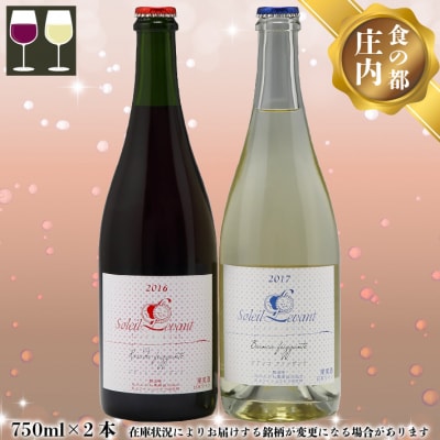 食の都庄内 月山ワイン ソレイユ・ルバン 微発泡 750ml×2本セット ワイン 果実酒 ブドウ