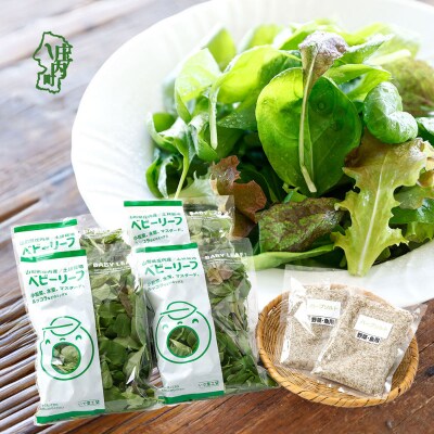 【9/30受付終了】庄内産 ベビーリーフミックス 70g×4袋と野菜用ハーブ塩セット 土耕栽培