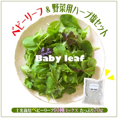 土耕栽培のベビーリーフミックス 10種(70g×4袋) と野菜用ハーブ塩セット