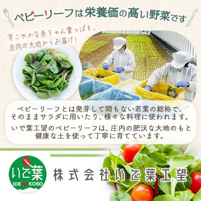 【9/30受付終了】庄内産 ベビーリーフミックス 70g×4袋と野菜用ハーブ塩セット 土耕栽培