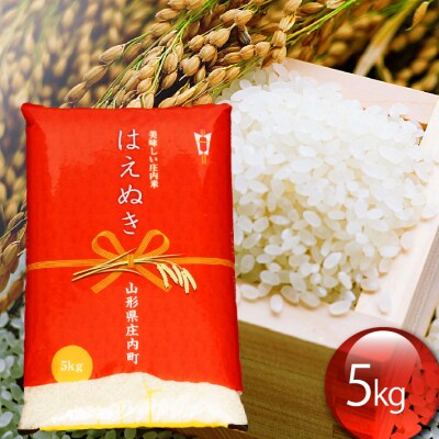 はえぬき  5kg | ふるさと納税のお礼品