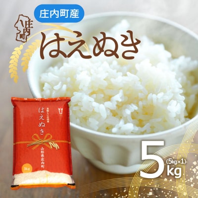 庄内町産 はえぬき 5kg 令和8年産 2026年産 ブランド米
