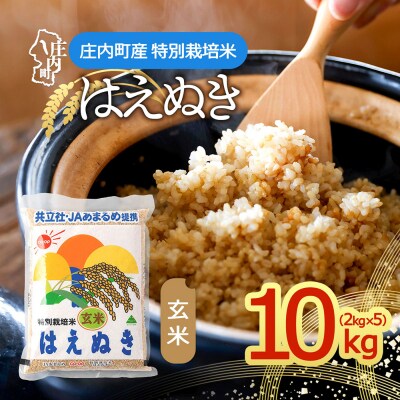 特別栽培米玄米はえぬき 10kg 2kg×5袋 庄内町産 令和7年産 2025年産 ブランド米