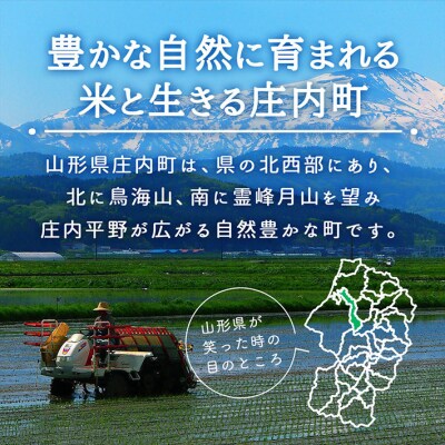 庄内町産 特別栽培米玄米はえぬき 10kg 2kg×5袋 令和7年産 2025年産 ブランド米