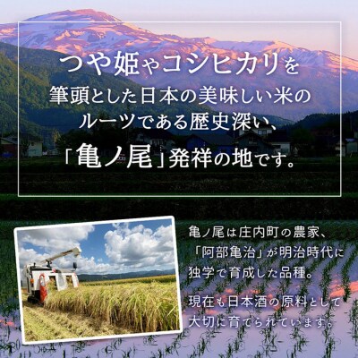 庄内町産 特別栽培米玄米はえぬき 10kg 2kg×5袋 令和7年産 2025年産 ブランド米