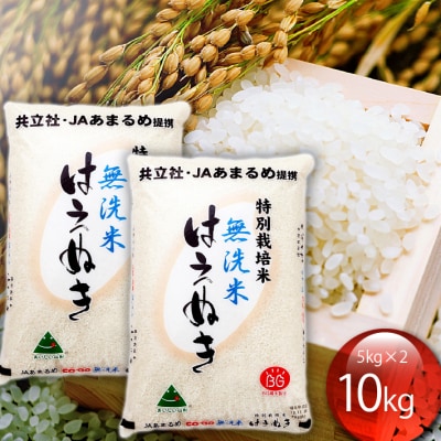 特別栽培米はえぬき無洗米 10kg 令和6年産 2024年産
