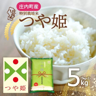 庄内町産 つや姫 5kg 令和8年産 2025年産 ブランド米