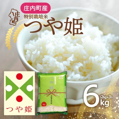 庄内町産 つや姫 6kg 2kg×3袋 令和7年産 2025年産 ブランド米