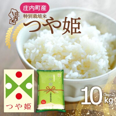 庄内町産 つや姫 10kg 5kg×2袋 令和8年産 2026年産 ブランド米