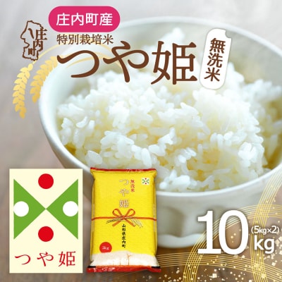 庄内町産 つや姫無洗米 10kg 5kg×2袋 令和8年産 2026年産 ブランド米