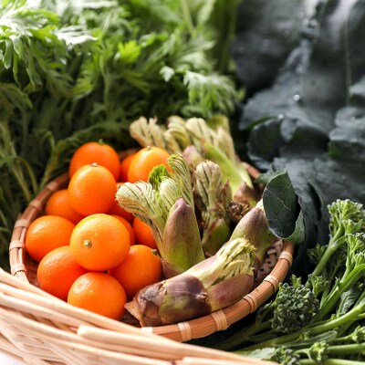 【6か月定期便】新鮮野菜 産直施設「あっでば」直送【6月中旬発送】