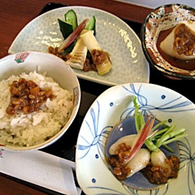 ハナブサ醤油　万能調味料しょうゆの実セット