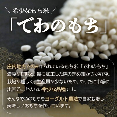 【定期便】杵つき 丸もち 380g×3袋×6ヶ月 個包装 梅木もち屋【11月中旬発送