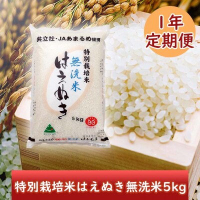 <2月開始>庄内米1年定期便!特別栽培米はえぬき無洗米5kg(入金期限:2024.1.25) | ふるさと納税のお礼品