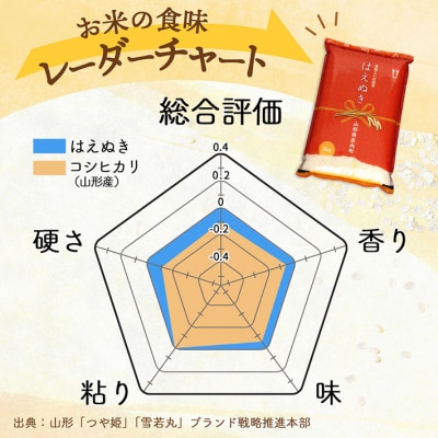 【定期便】<令和8年産/9年産>はえぬき 5kg×2袋×1年間 毎月 10kg【12月中旬発送】