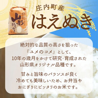 渡會さんのうまい米!はえぬき 10kg 5kg×2袋 令和7年産 2025年産 ブランド米