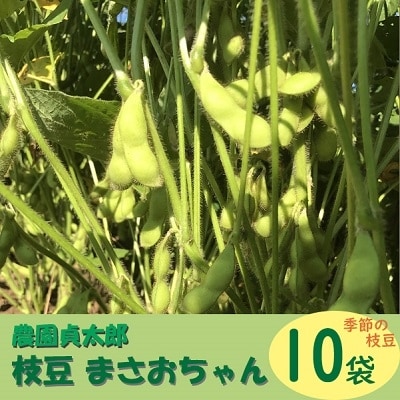 【7月下旬より順次発送】農園貞太郎 枝豆まさおちゃん 10袋(入金期限:2026.7.10)