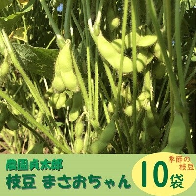 【R8.7月下旬より順次発送】農園貞太郎 枝豆まさおちゃん 10袋(入金期限:2026.7.10)