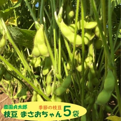 【7月下旬より順次発送】農園貞太郎 枝豆まさおちゃん 5袋(入金期限:2026.7.10)