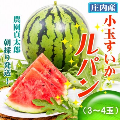 【R8.7月下旬より順次発送】農園貞太郎小玉スイカ ルパン 3～4玉(入金期限:2026.7.10)