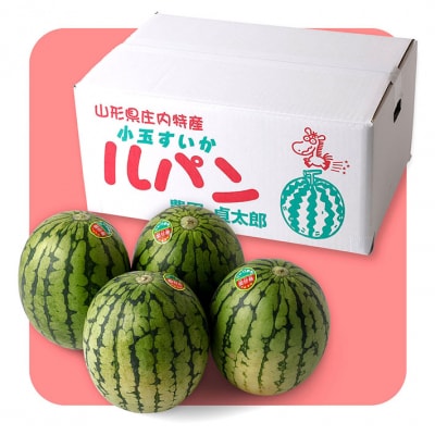 【R8.7月下旬より順次発送】農園貞太郎小玉スイカ ルパン 3～4玉(入金期限:2026.7.9)