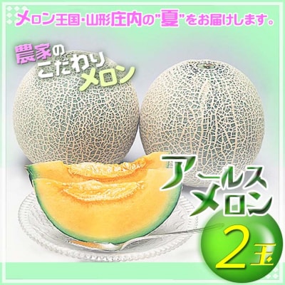 【8月より順次発送】アールスメロン 大玉2玉(入金期限:2025.7.31)