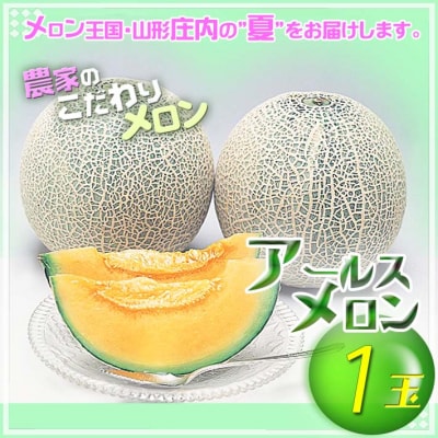 【8月より順次発送】アールスメロン 大玉1玉(入金期限:2025.7.31)