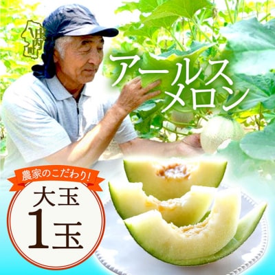 【R8.8月より順次発送】アールスメロン 大玉1玉(入金期限:2026.7.20)